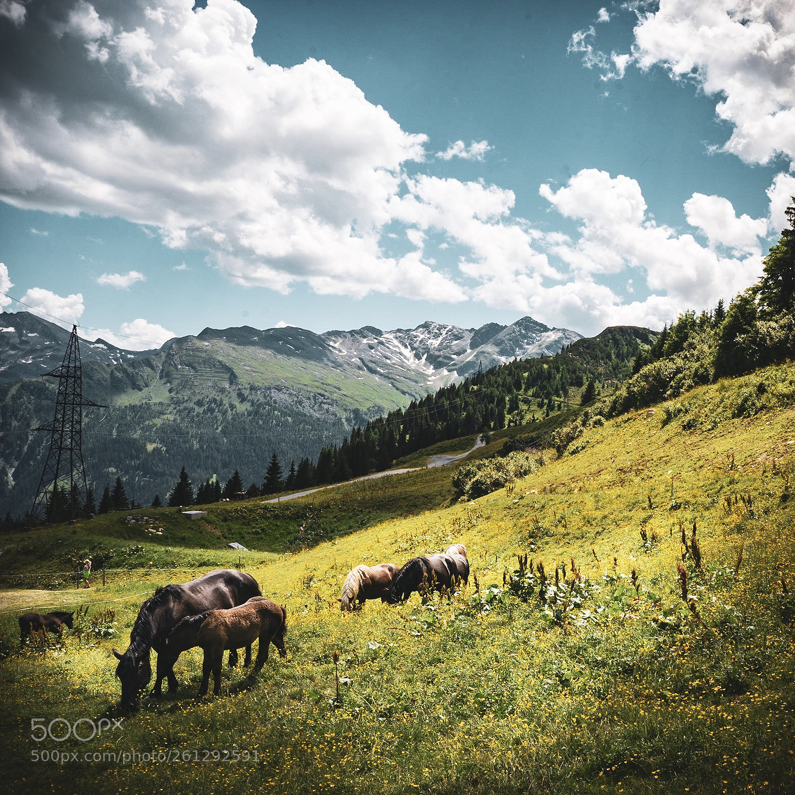 Sony a7R sample photo. Alps, hoses  photography