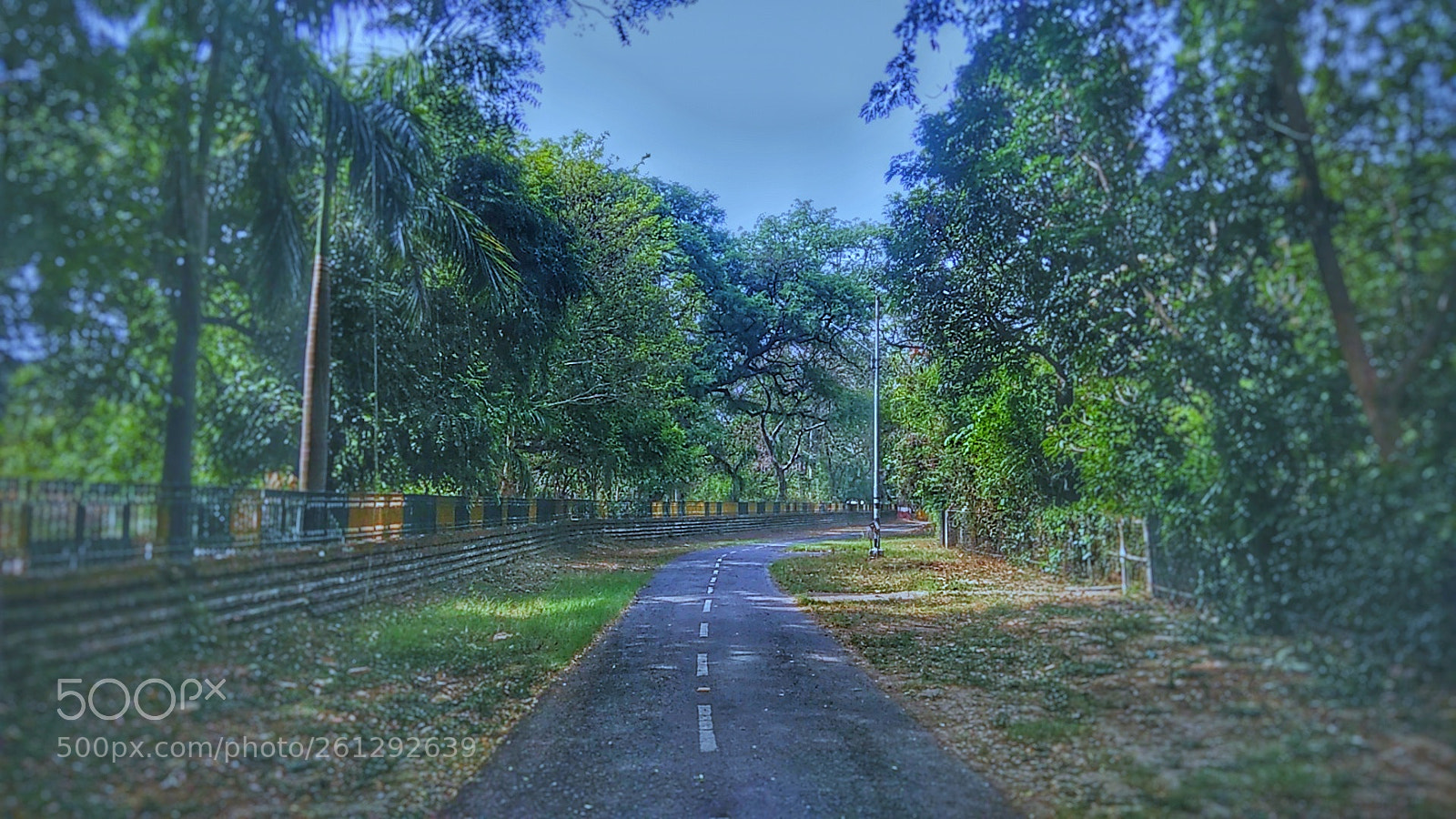 Xiaomi Redmi Note 4 sample photo. Untitled photography