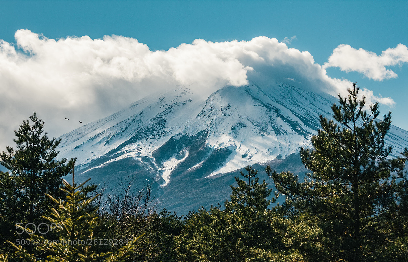 Canon EOS 60D sample photo. Fujisan photography
