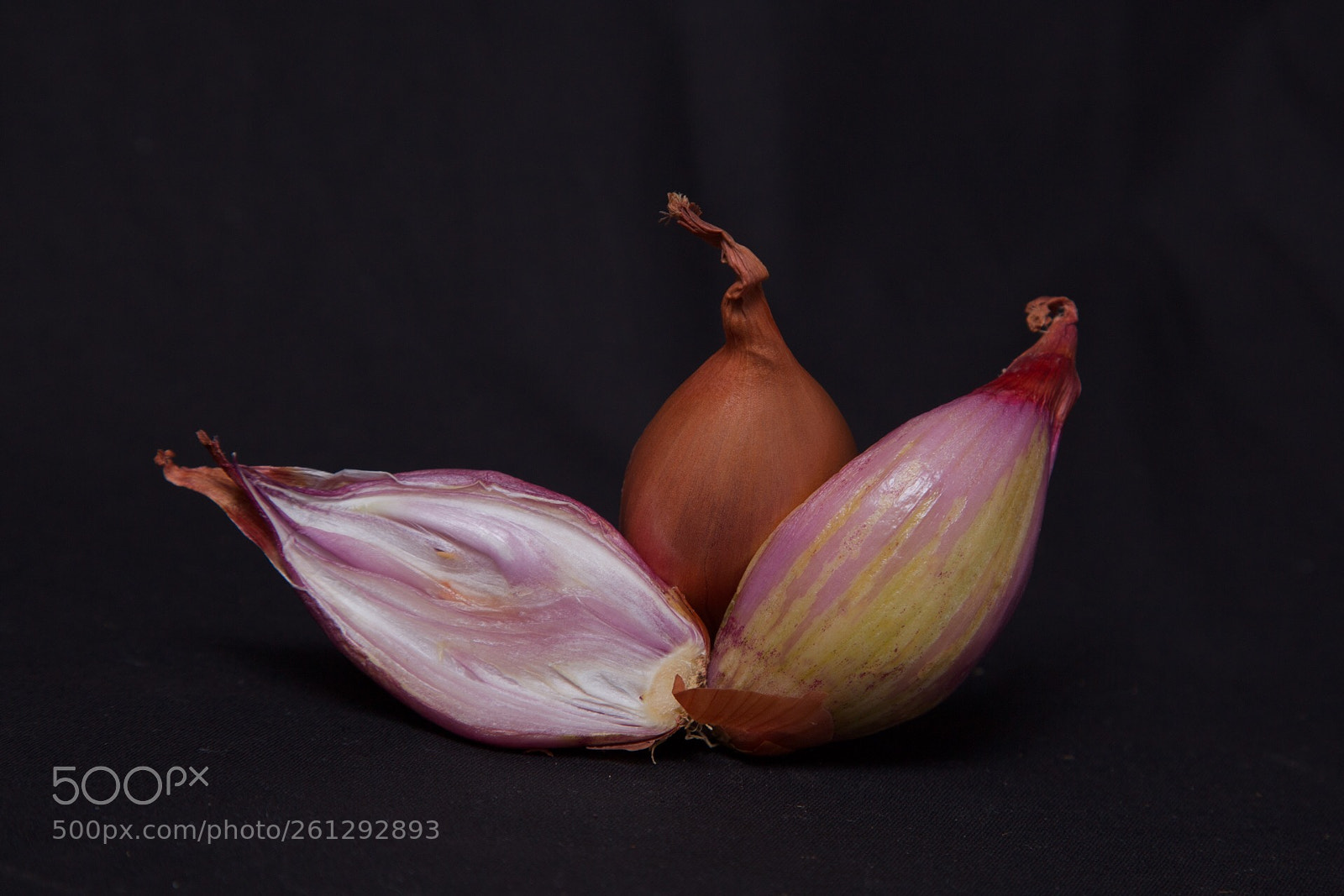 Canon EOS 6D sample photo. Shallots photography