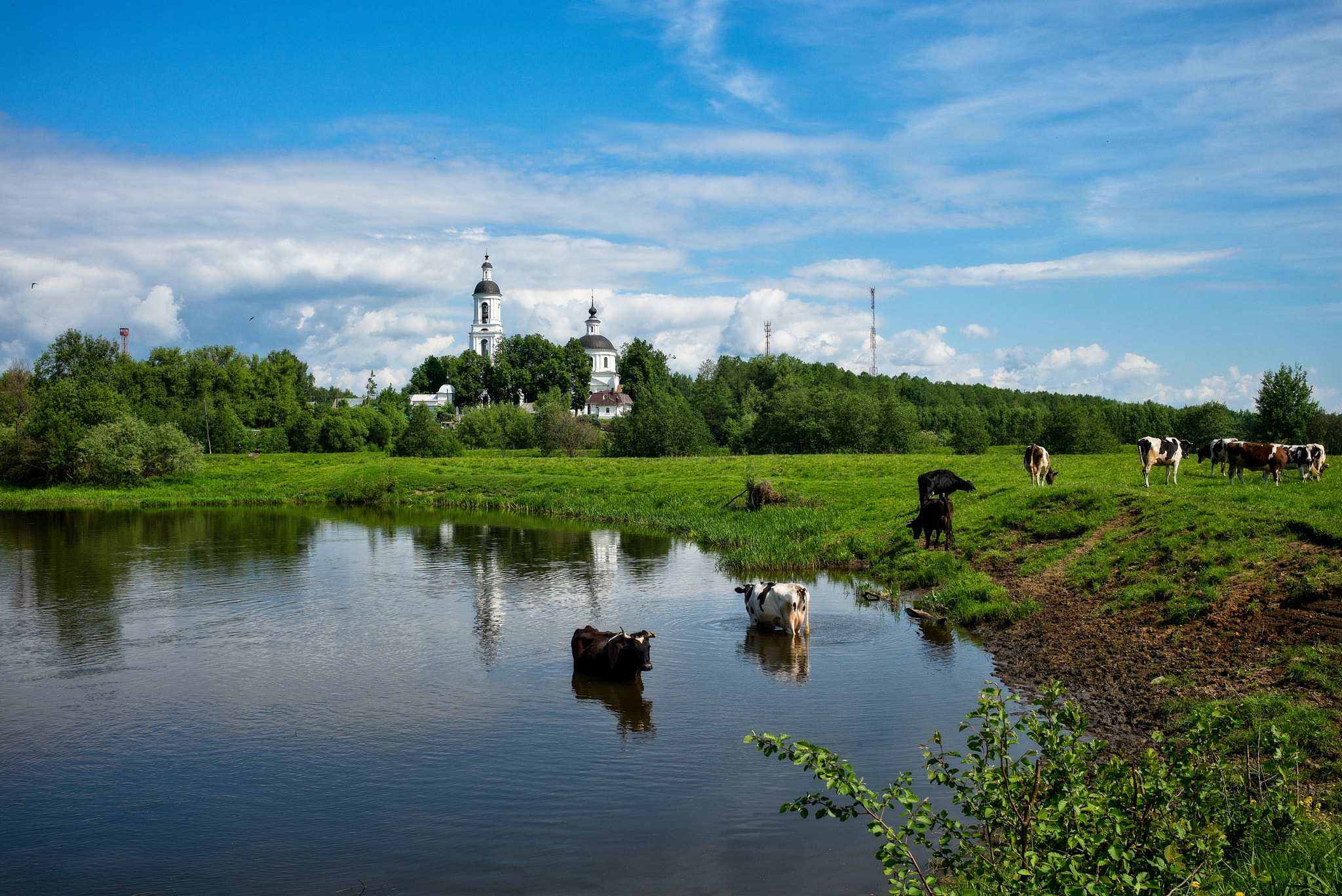 Leica M (Typ 240) sample photo. Filippovskoe village photography