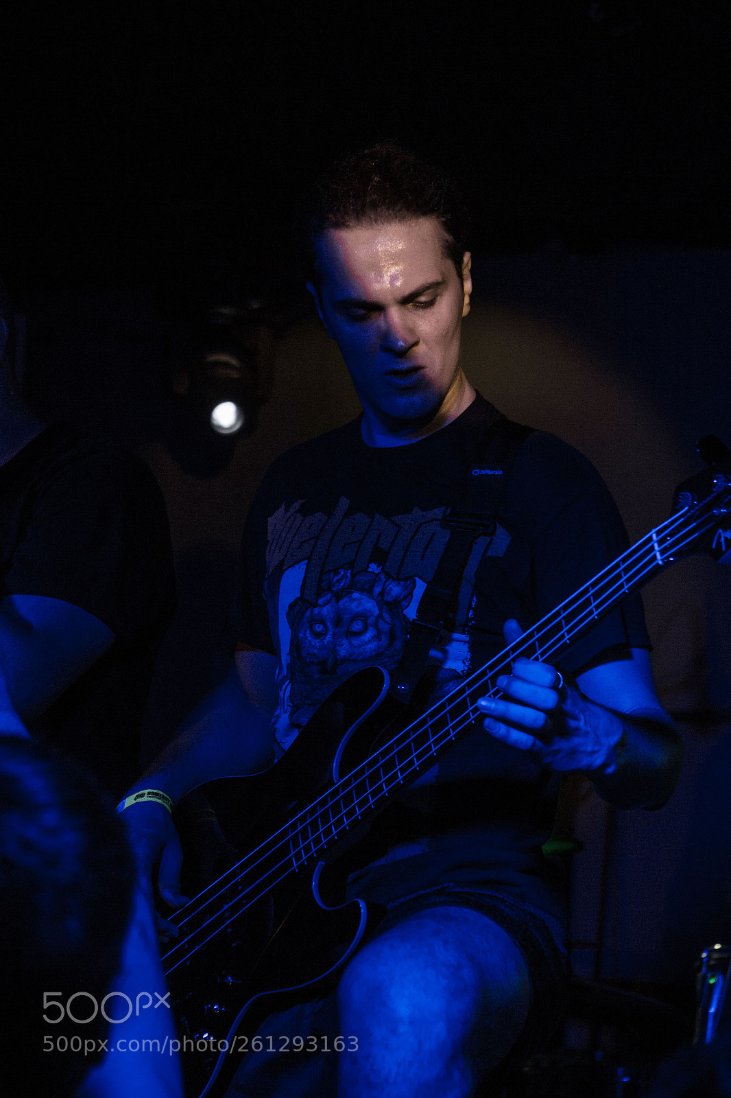 Canon EOS 600D (Rebel EOS T3i / EOS Kiss X5) sample photo. Solar deity bass photography