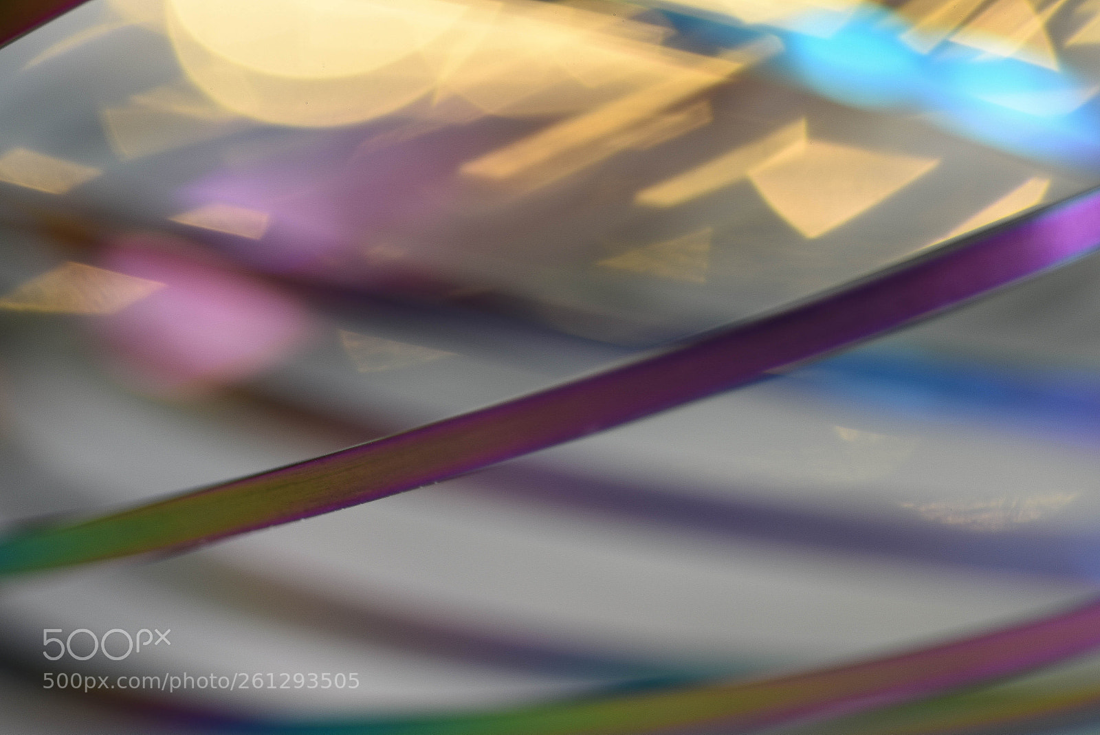 Nikon D750 sample photo. Colors in the wind photography