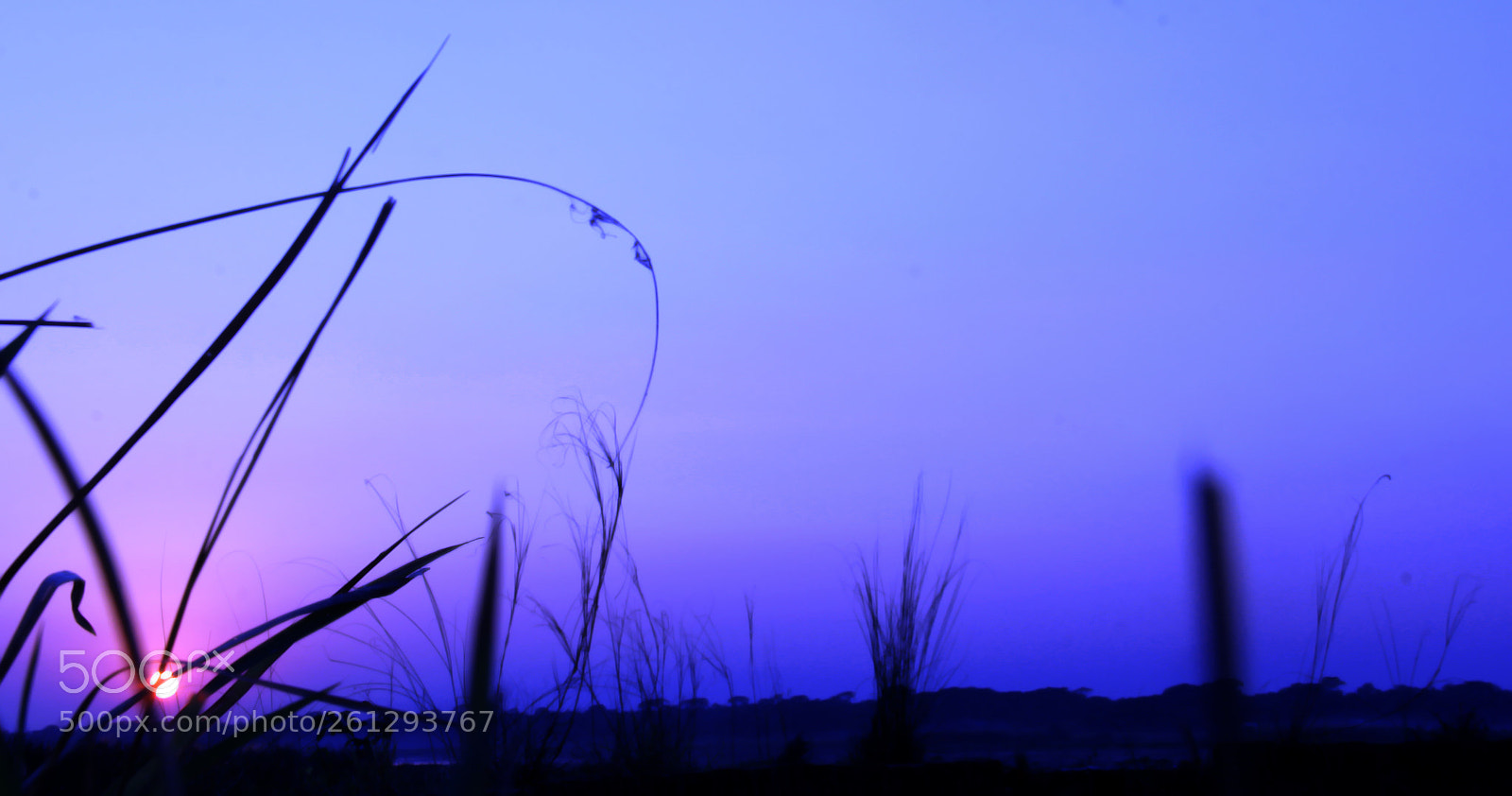 Canon EOS 60D sample photo. Untitled photography