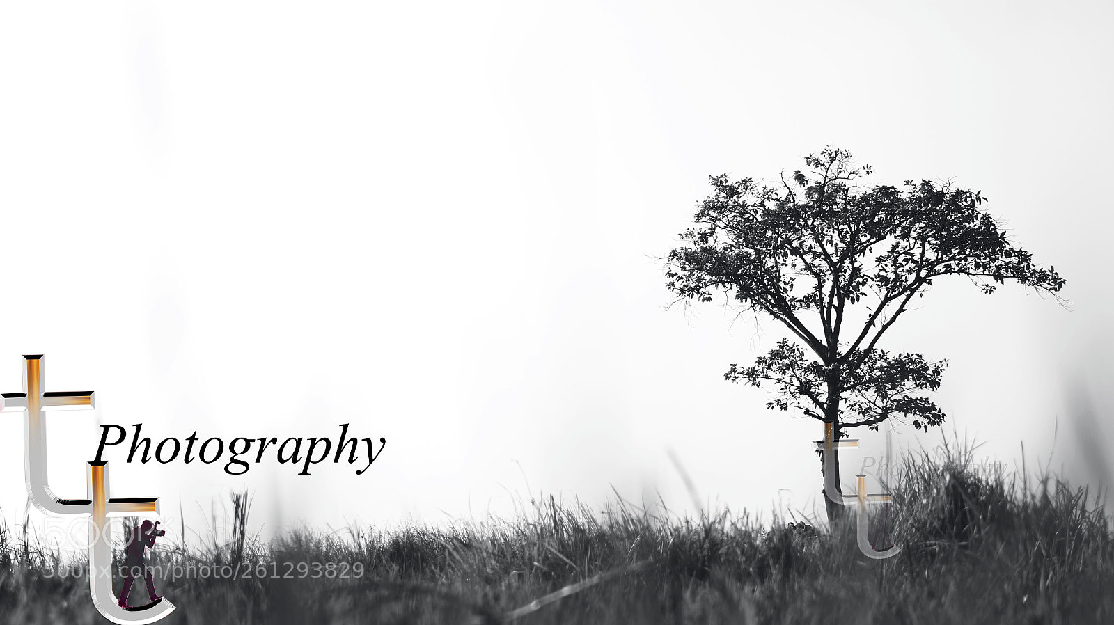 Canon EOS 60D sample photo. Untitled photography