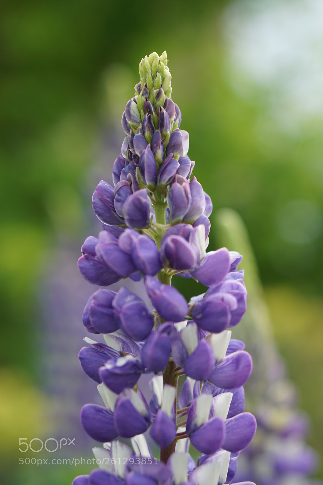 Sony a6000 sample photo. Stacking photography