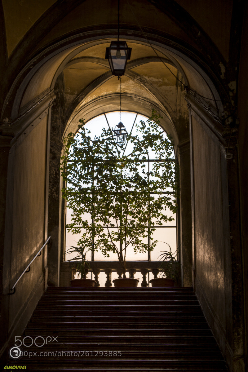Nikon D7100 sample photo. Stairs to light photography