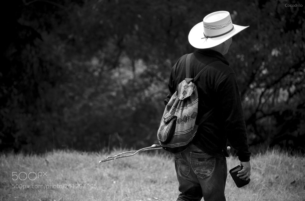 Nikon D5100 sample photo. Untitled photography