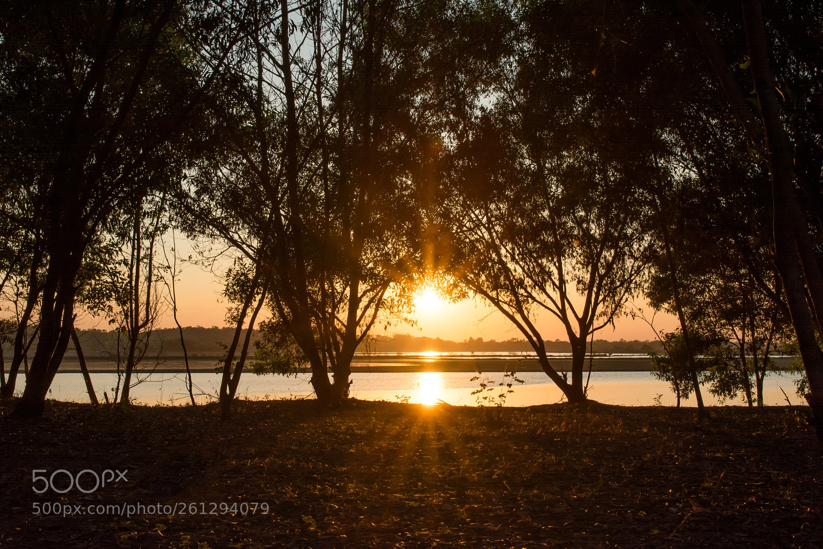 Nikon D7100 sample photo. Sunrise light rays fall photography