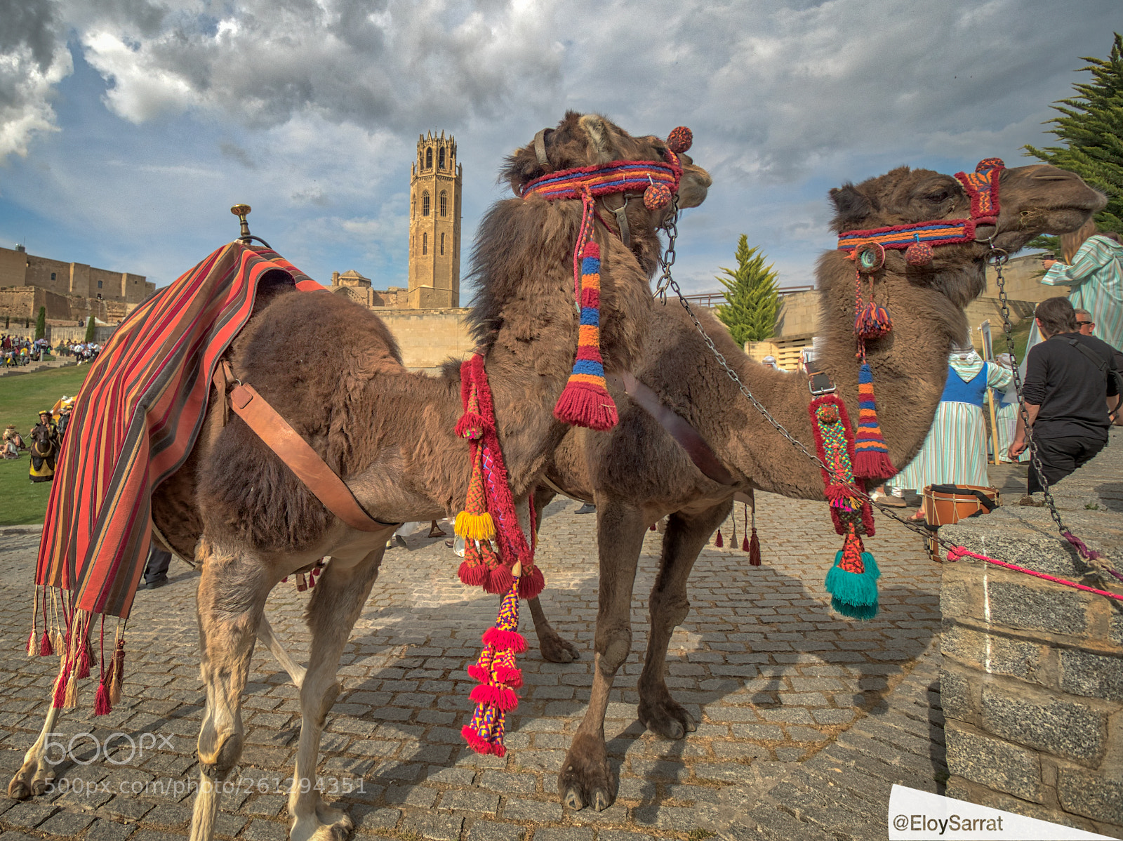 Olympus OM-D E-M5 II sample photo. Festa major de lleida photography