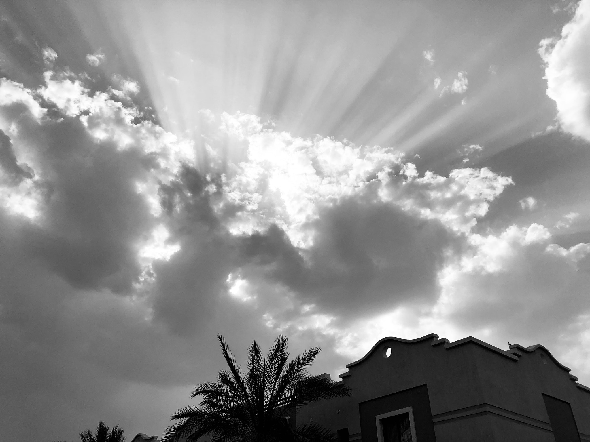 Apple iPhone 8 sample photo. Every dark cloud has silver line photography