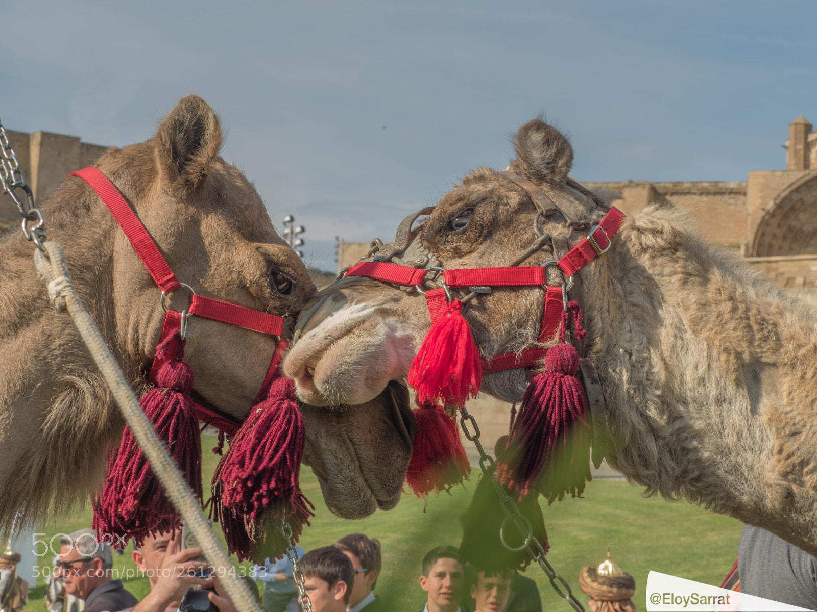 Olympus OM-D E-M5 II sample photo. Festa major de lleida photography