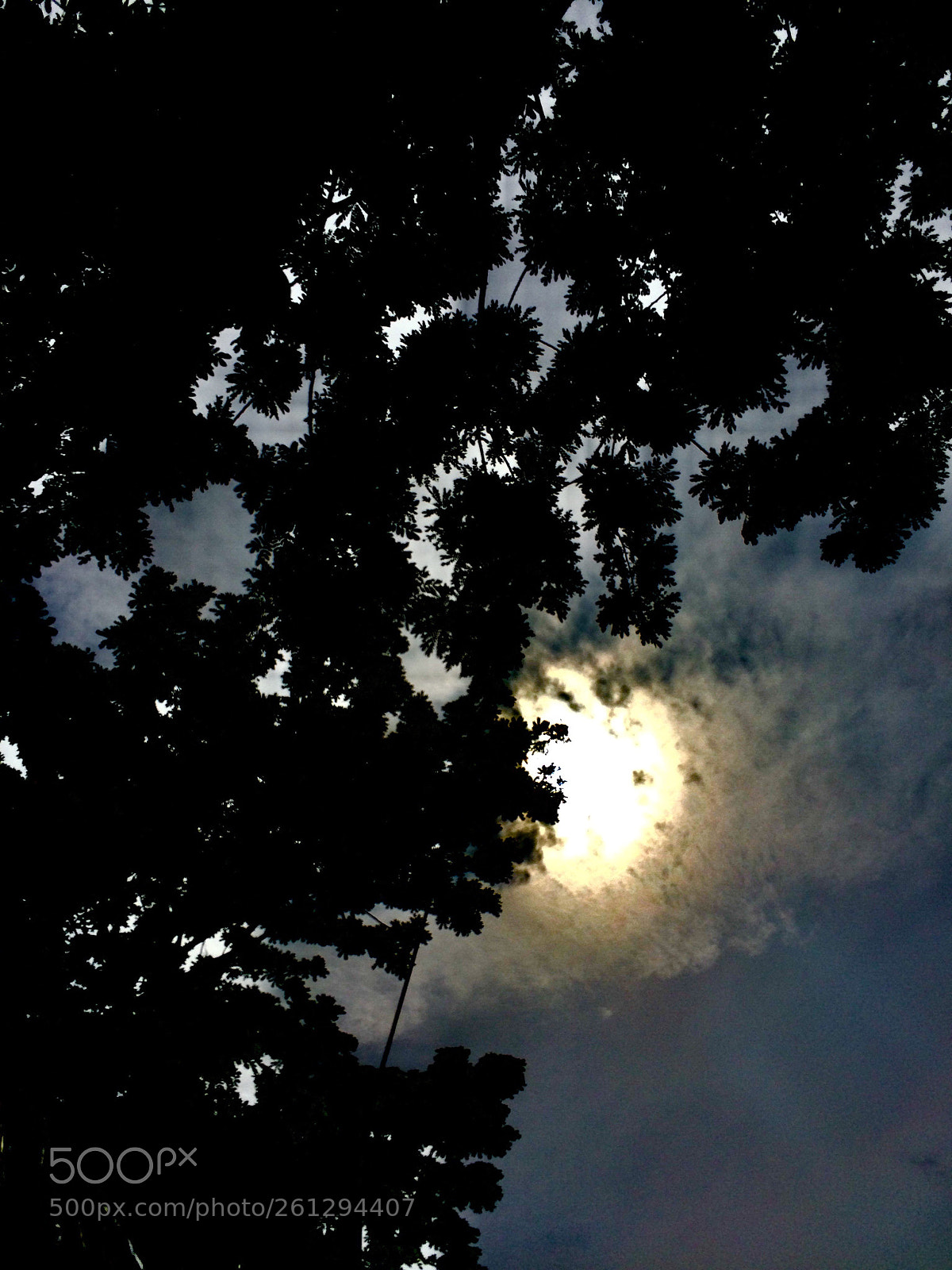 Apple iPhone 5s sample photo. Hiding  photography