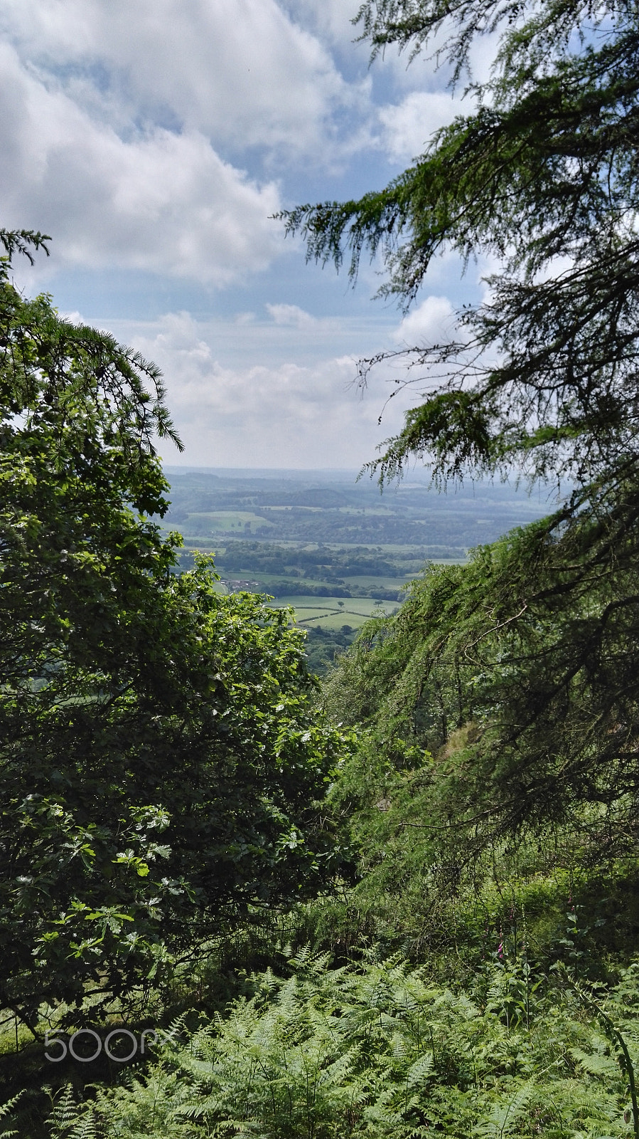 HUAWEI Honor 7 sample photo. Looking east photography