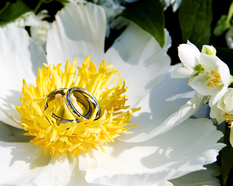 Canon EOS-1D Mark II N sample photo. Wedding photography