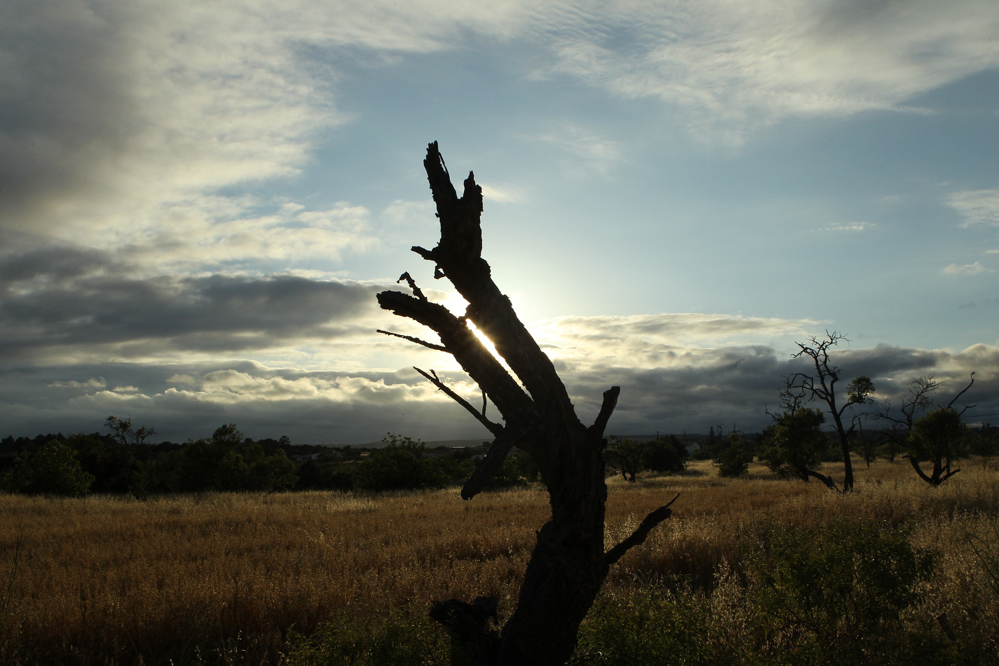 Canon EOS-1D Mark IV + Canon EF 24-70mm F2.8L USM sample photo. Ckh photography