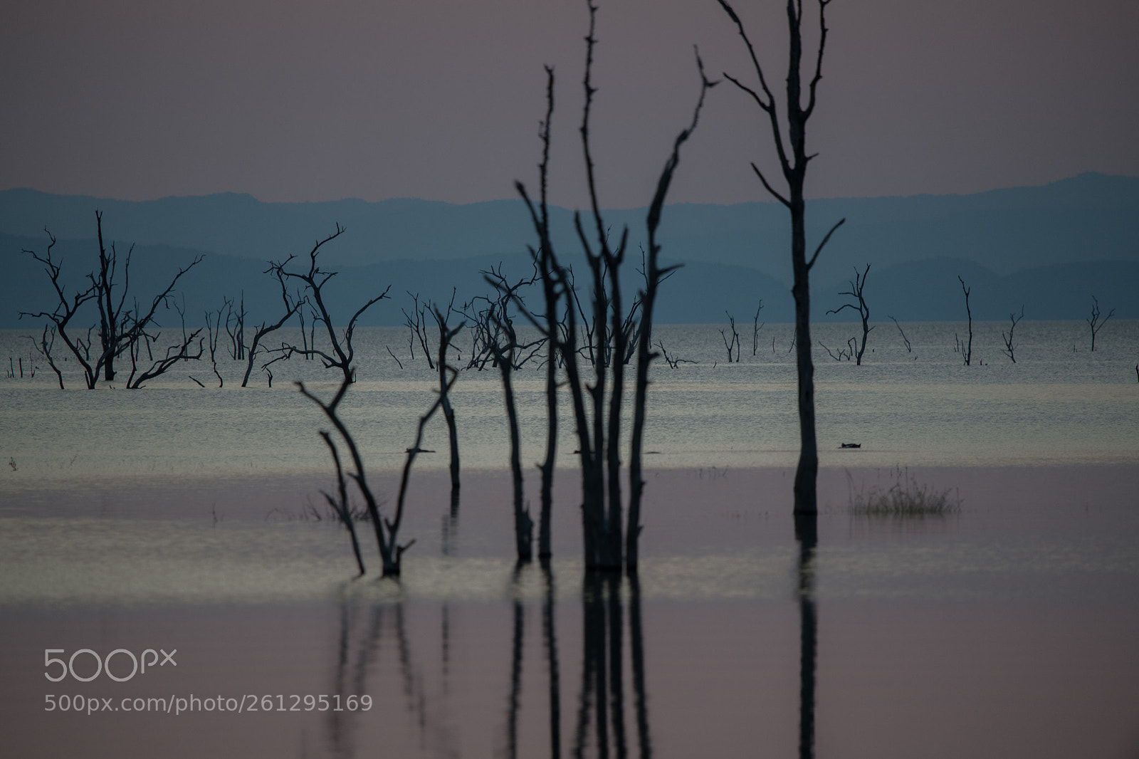 Nikon D850 sample photo. Kariba lake photography