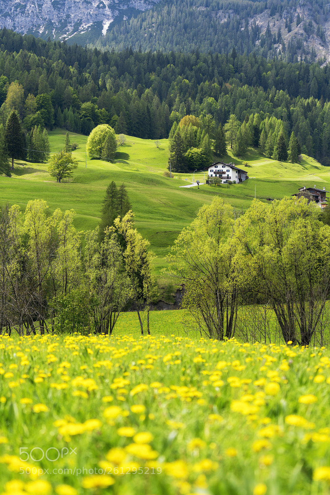Sony a7R II sample photo. Dolomiti valley photography