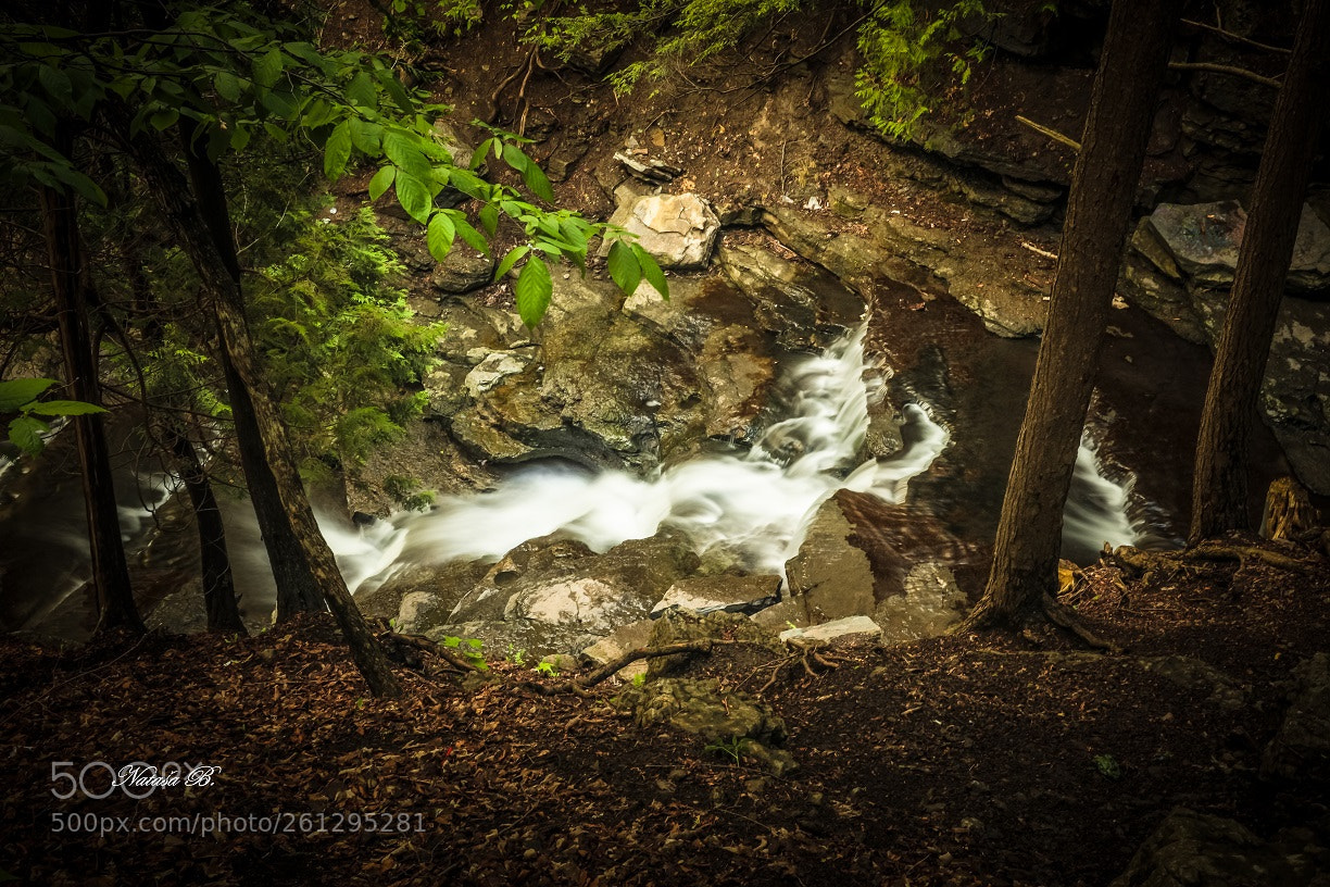 Canon EOS 5D Mark IV sample photo. Stream... photography