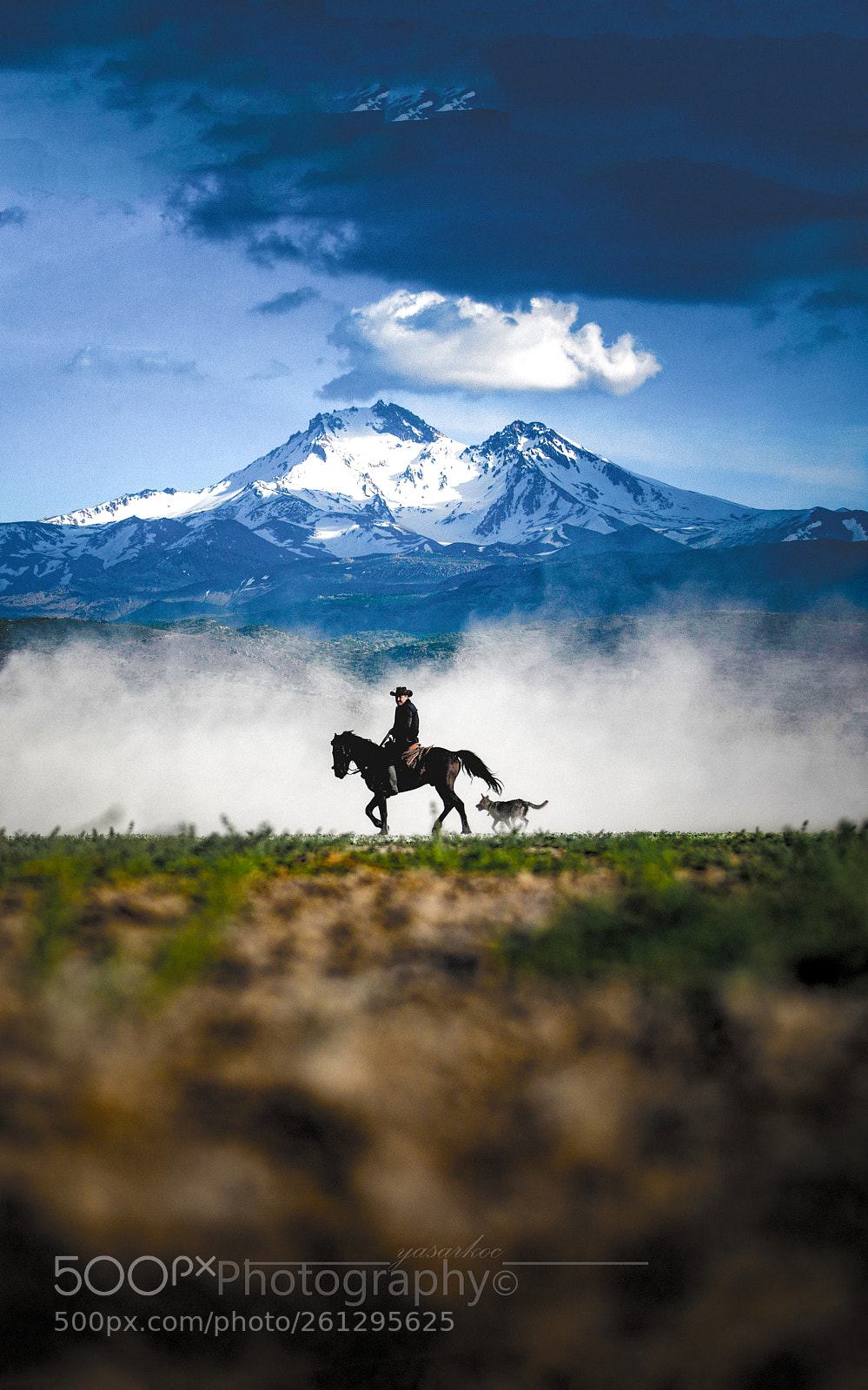 Nikon D800E sample photo. Beautiful horses country photography