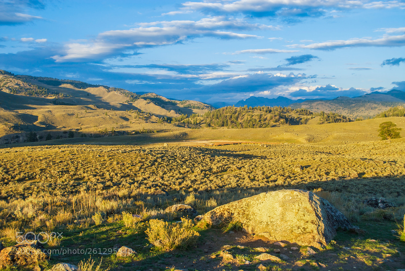 Nikon D200 sample photo. High mountain desert photography