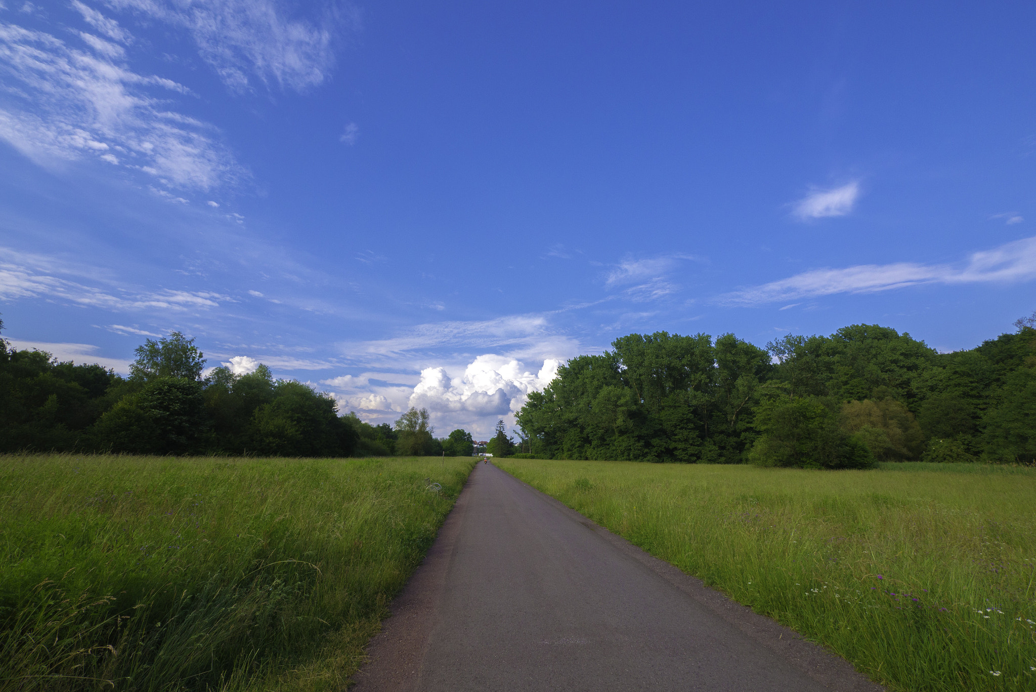 Panasonic DMC-G81 sample photo. Sommerspaziergang photography