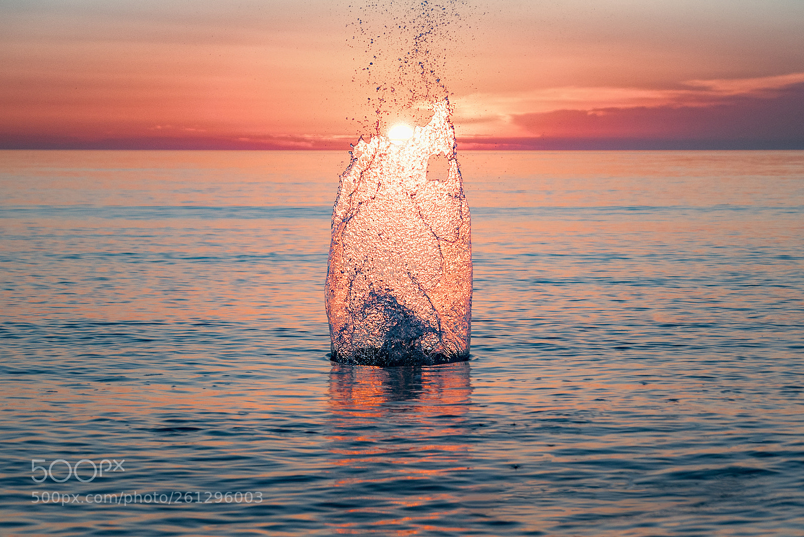 Nikon D750 sample photo. Making a splash photography