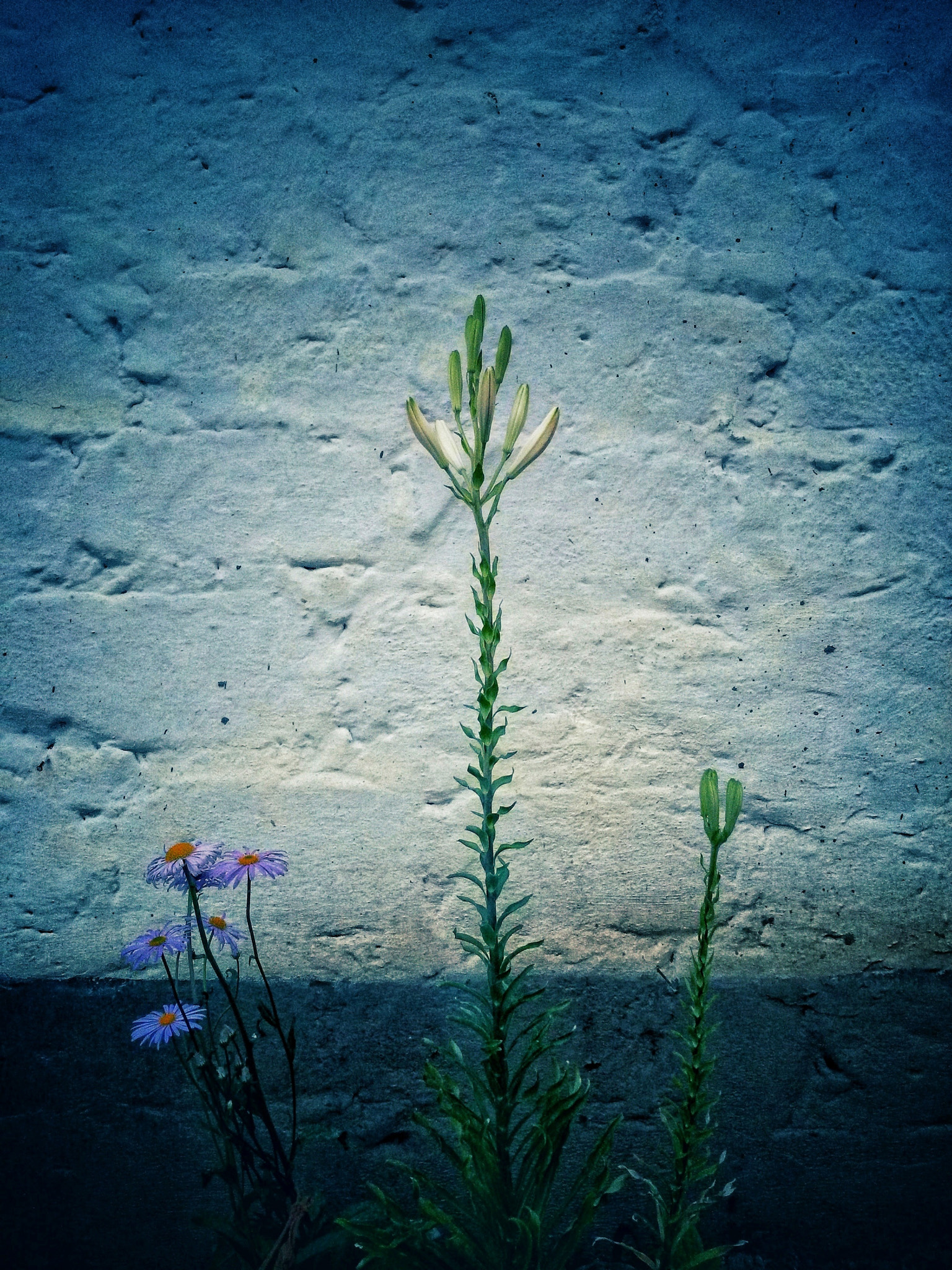 Samsung Galaxy S4 Active sample photo