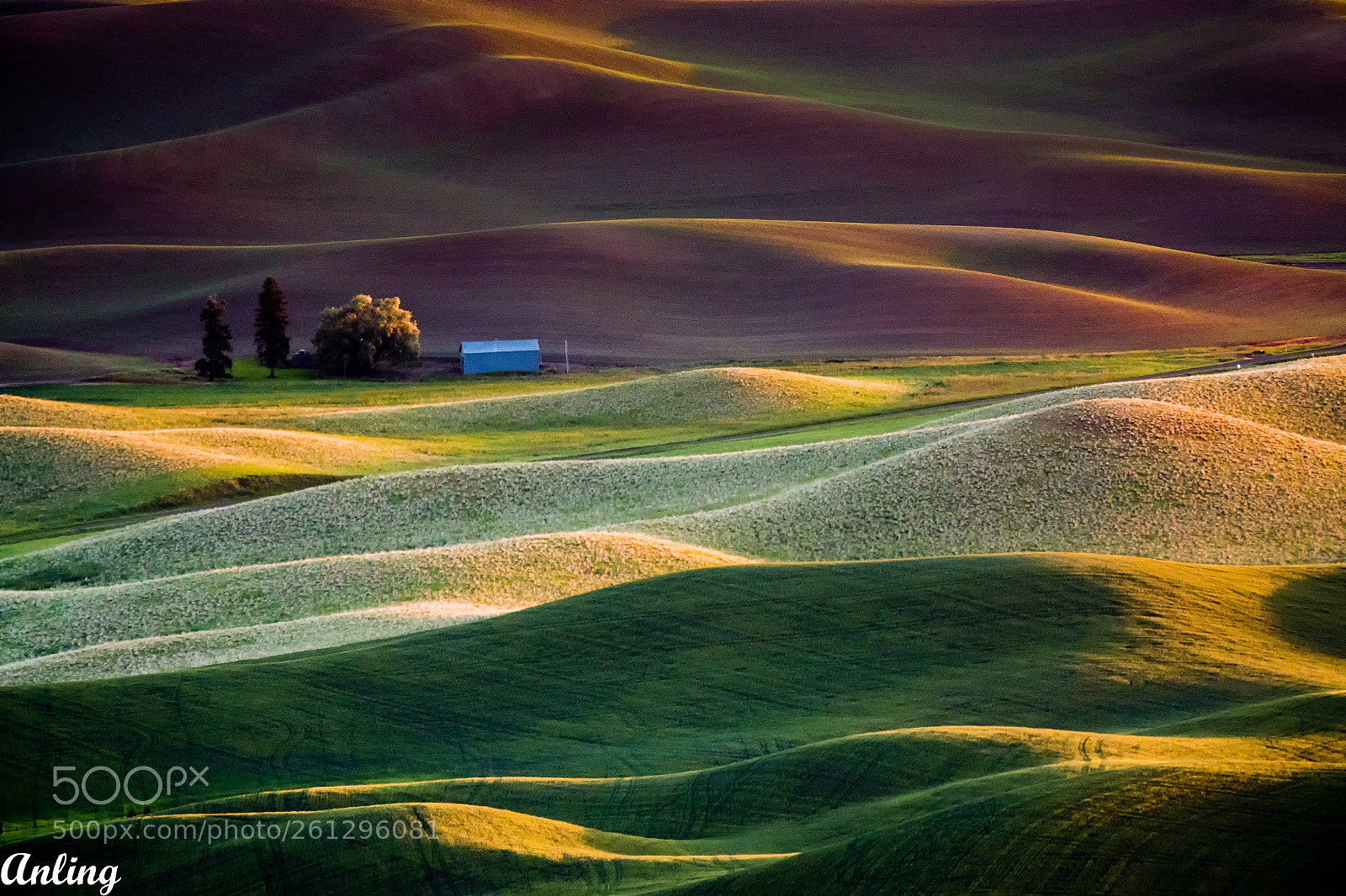 Sony Cyber-shot DSC-RX10 IV sample photo. Palouse photography