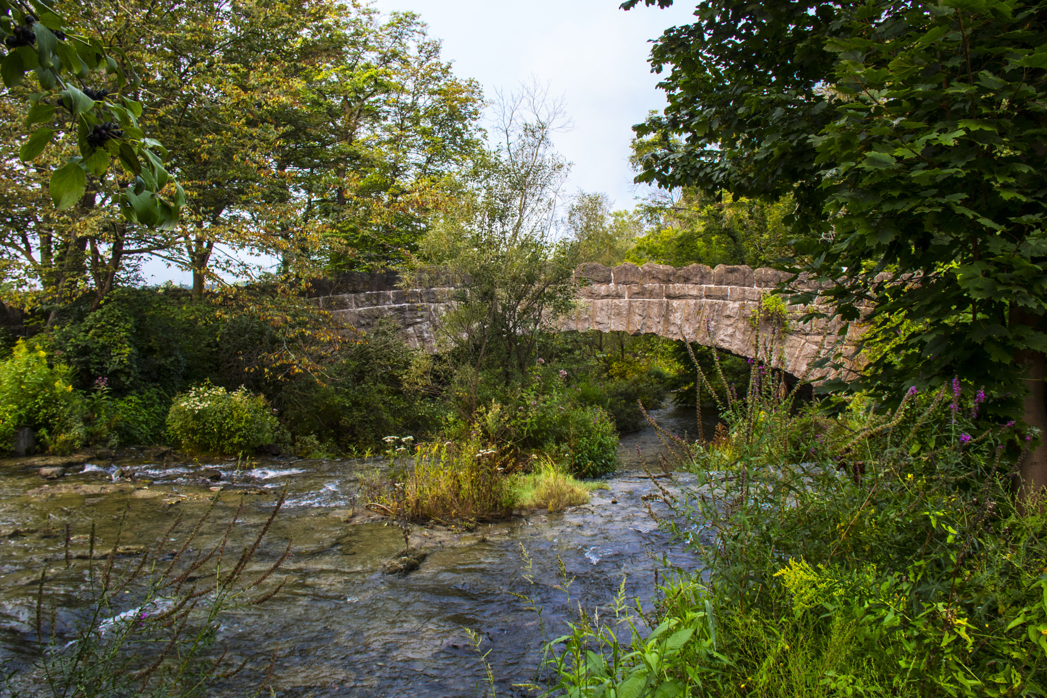 Canon EOS 760D (EOS Rebel T6s / EOS 8000D) sample photo. Water under bridge photography