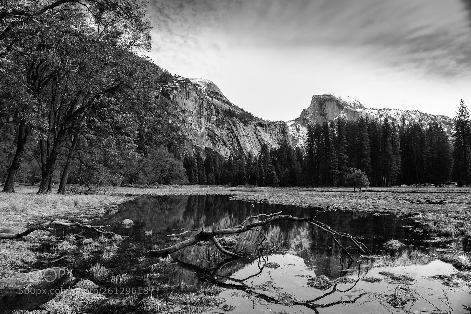 Nikon D800 sample photo. Yosemite valley photography