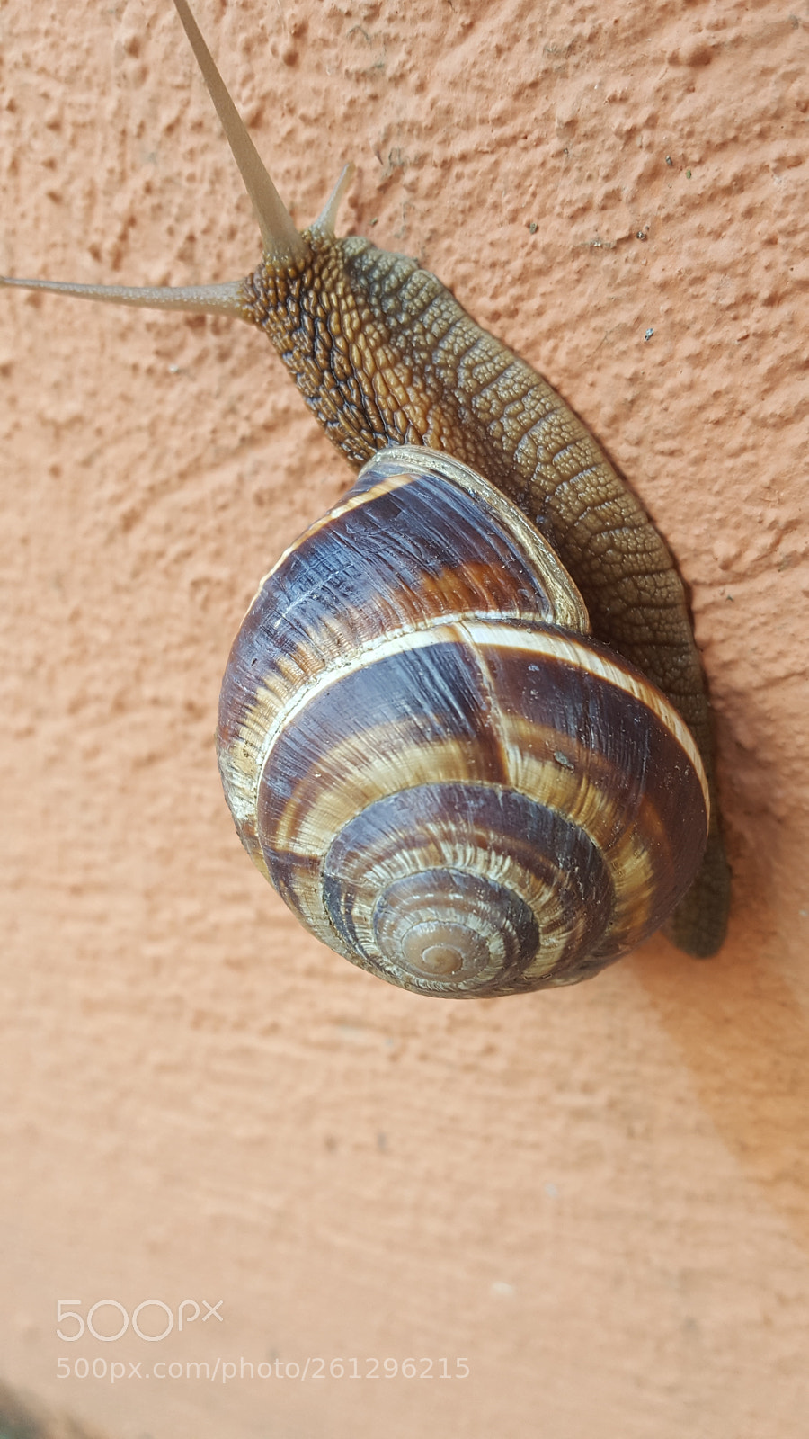 Samsung GALAXY S6 edge sample photo. Untitled photography