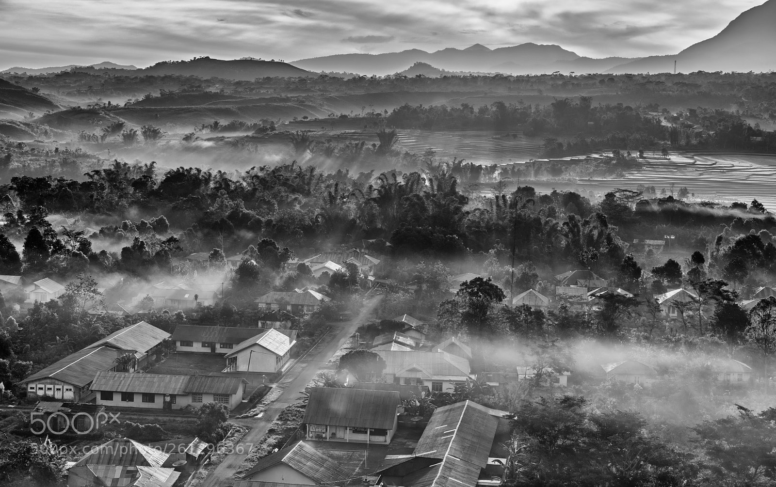 Sony a7 II sample photo. Morningmist photography