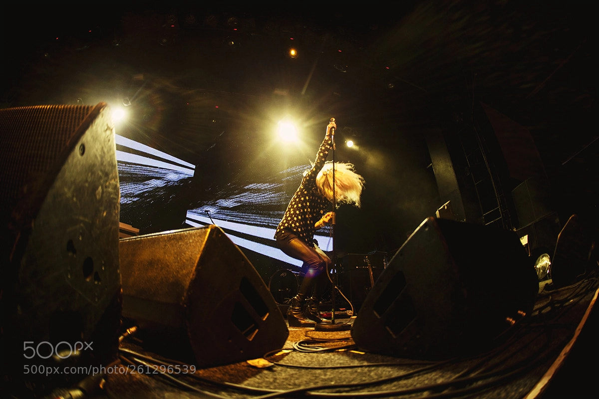 Canon EOS 6D sample photo. Alison mosshart / the kills photography