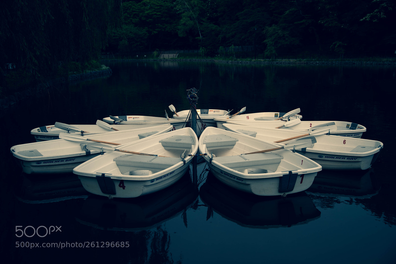 Nikon D810 sample photo. Go to sleep photography