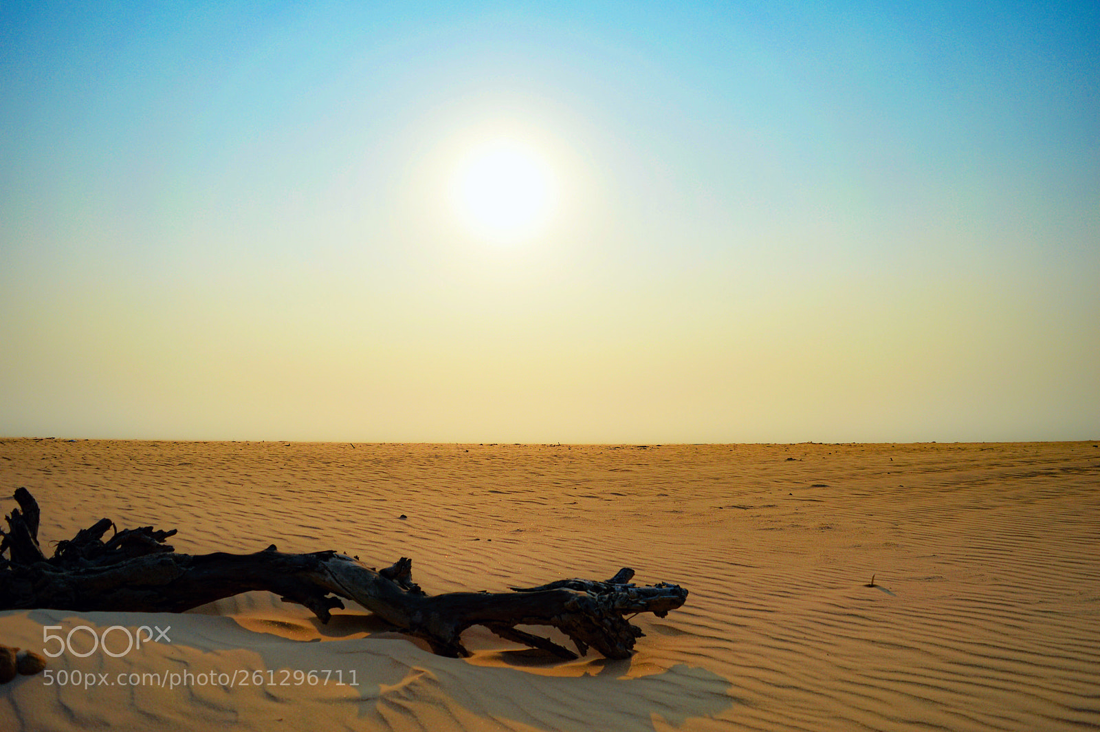 Nikon D3200 sample photo. Beach or desert? photography