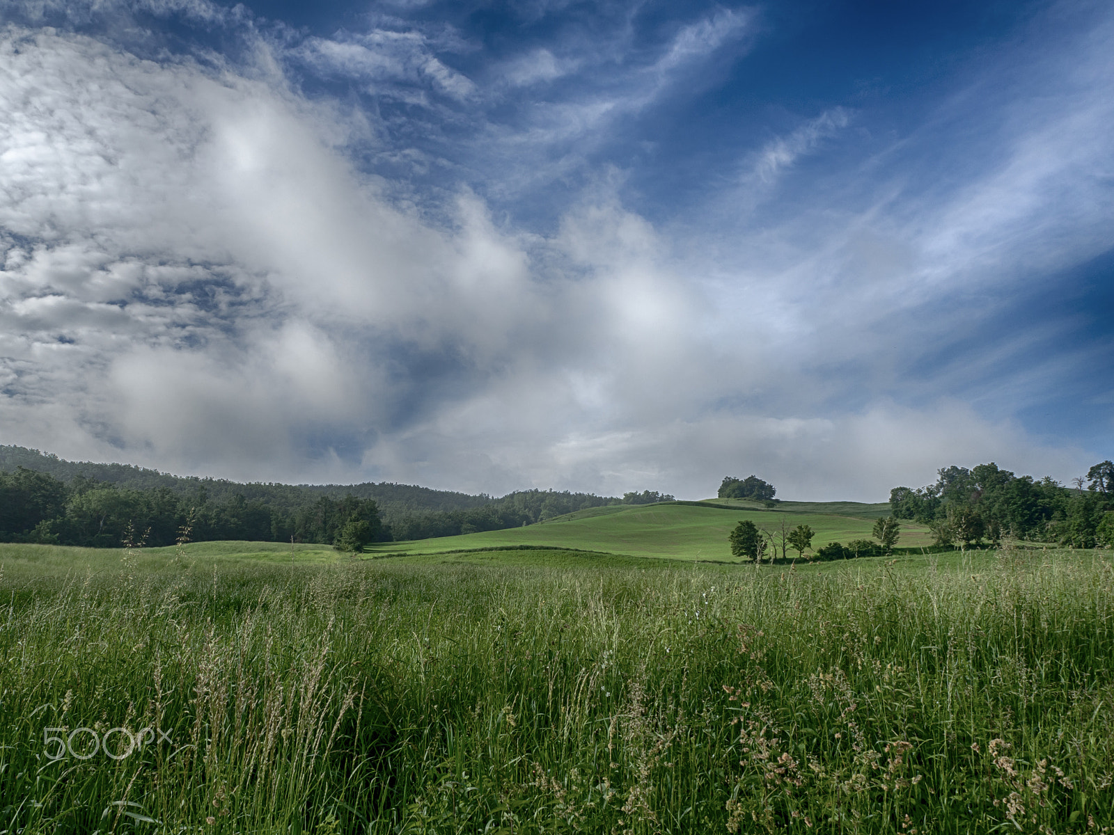 Olympus OM-D E-M10 III sample photo. The ordinary countryside photography