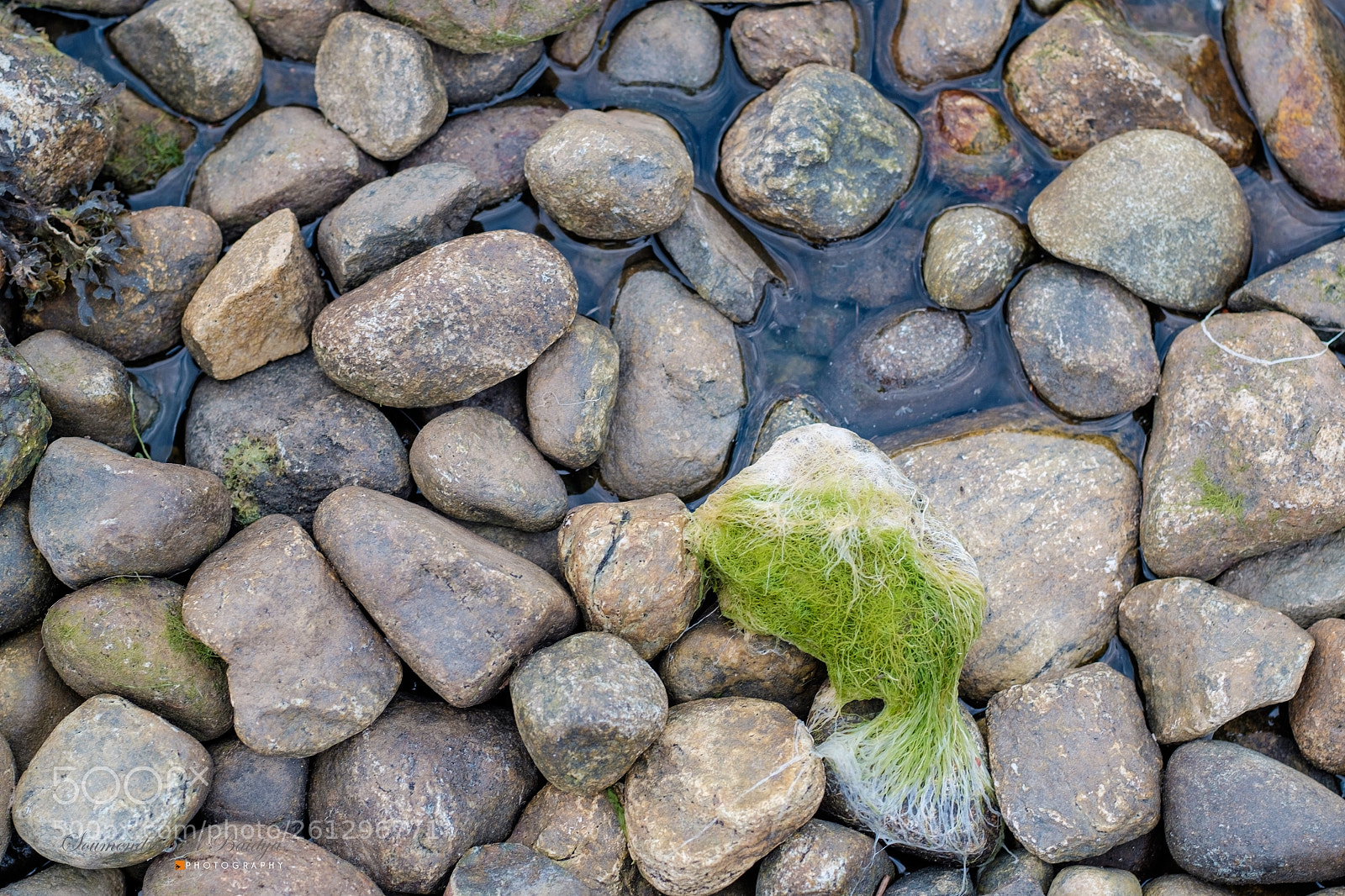 Fujifilm X-T1 sample photo. Single out photography