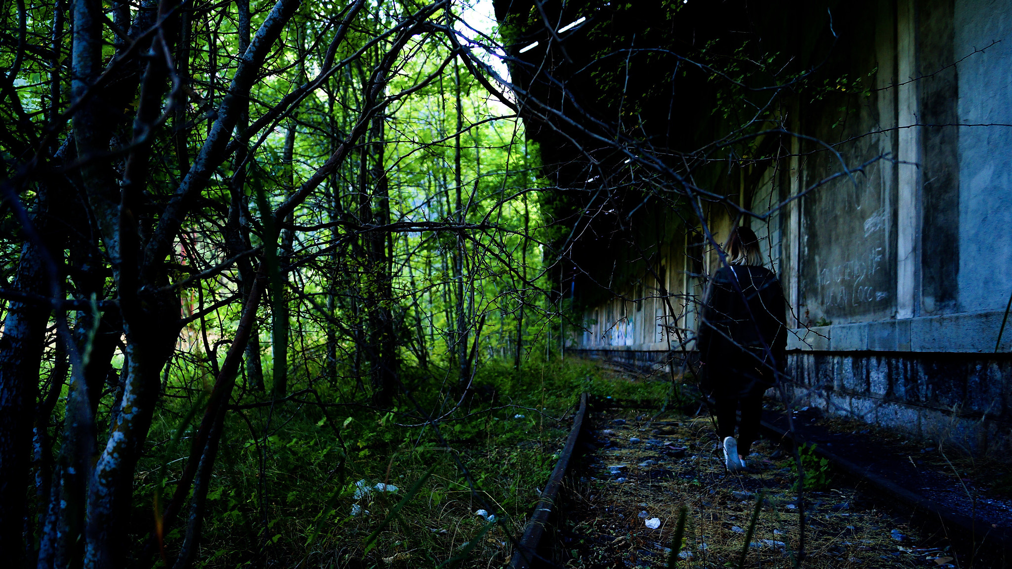 Sony SLT-A37 sample photo. You’ll never walk alone photography