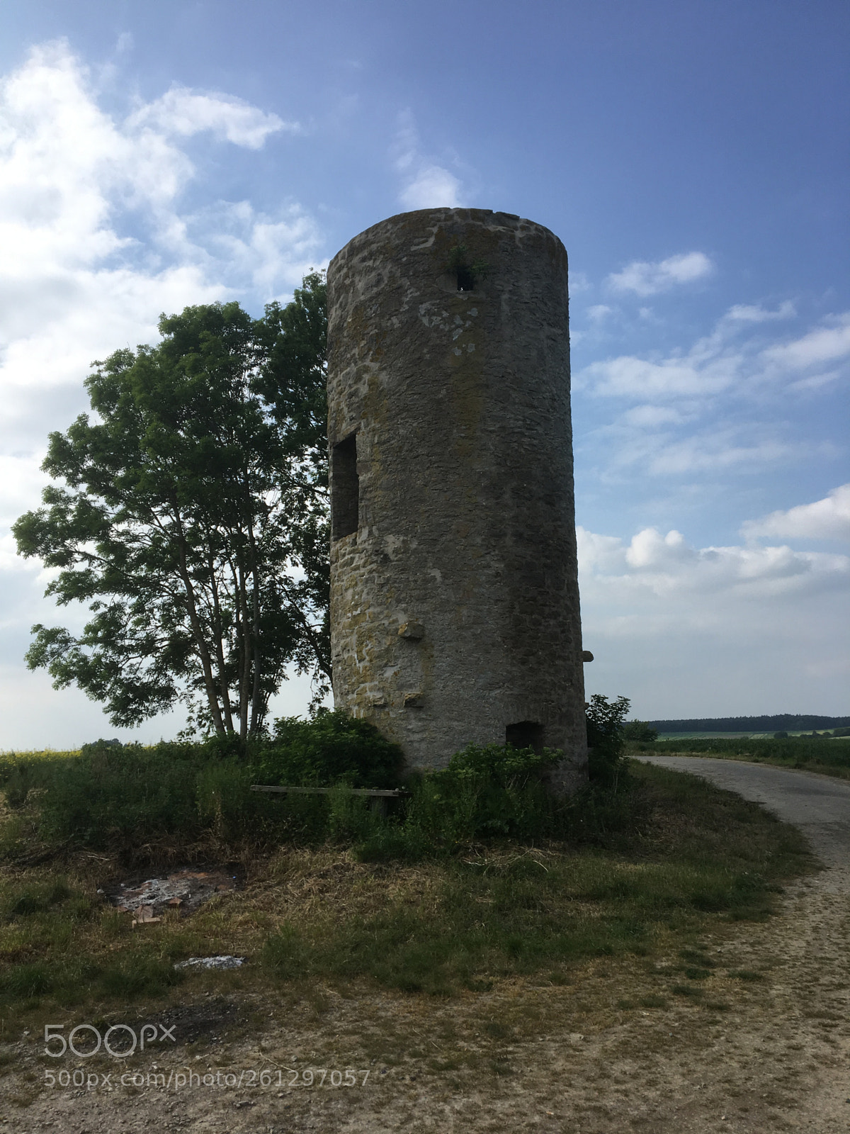 Apple iPhone 6s sample photo. Ein weg, ein baum photography