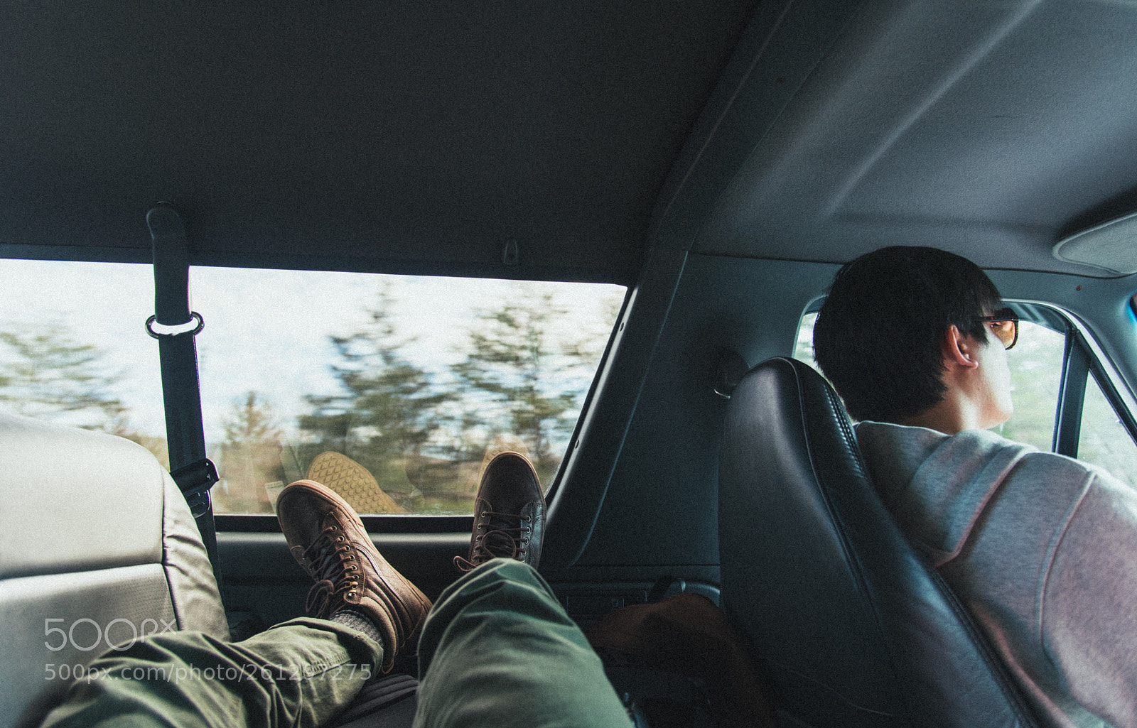 Nikon D750 sample photo. Backseat driver photography
