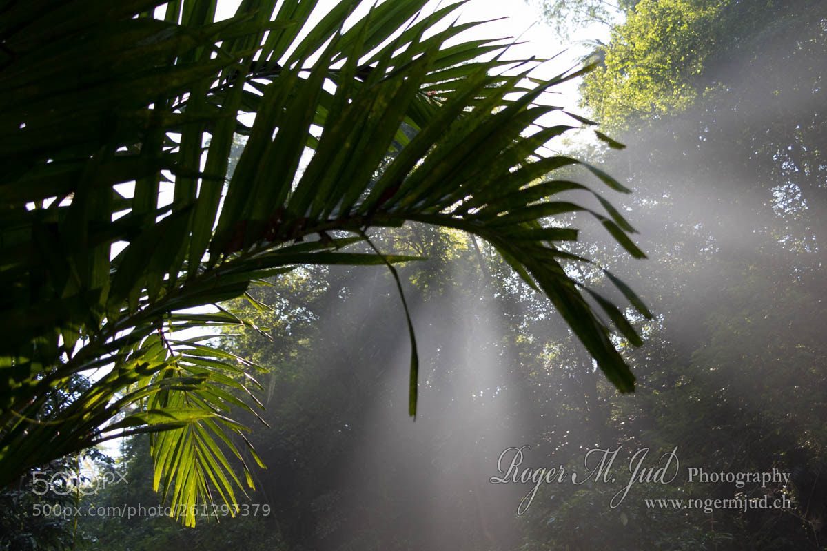 Canon EOS 7D Mark II sample photo. Bali mornings photography