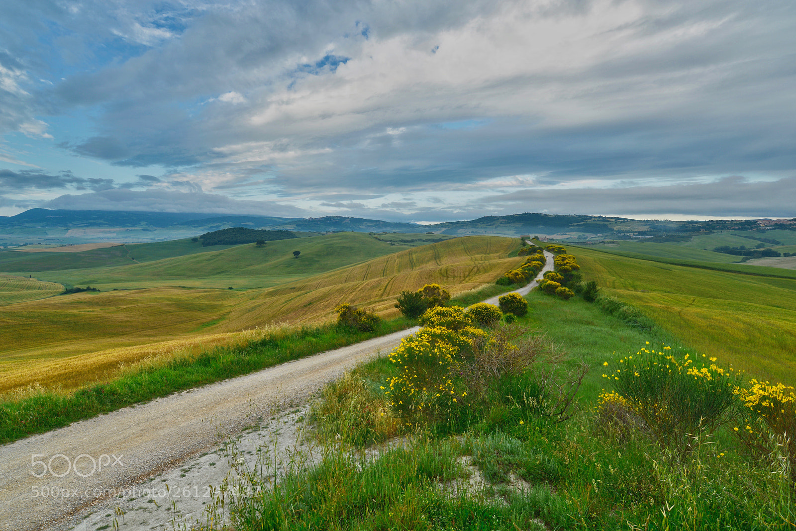 Nikon D600 sample photo. The path of the photography