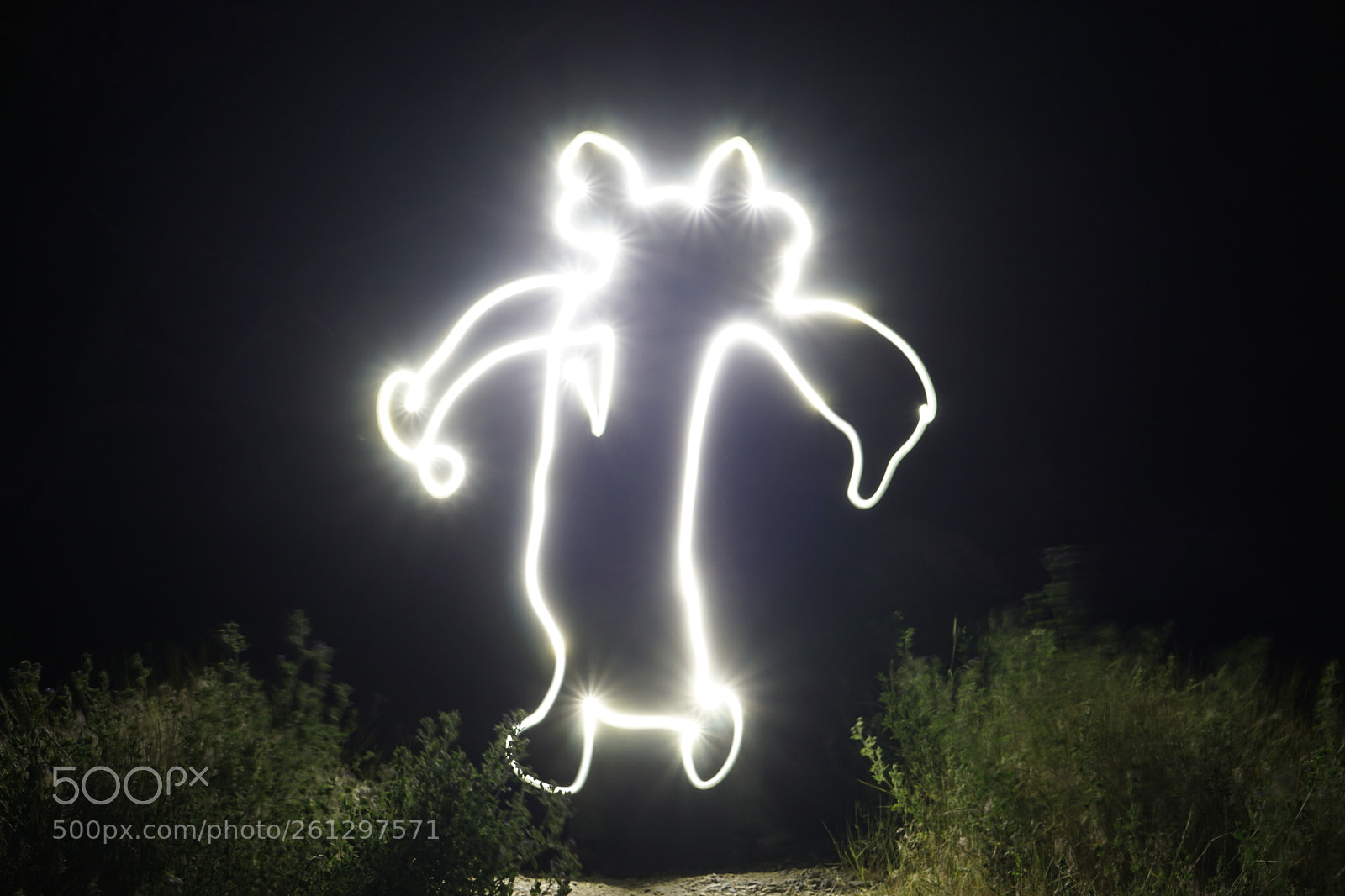 Sony a6000 sample photo. Light painted meerkat photography