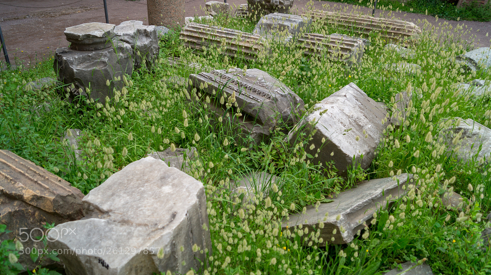 Sony SLT-A58 sample photo. Rome, forum and palatine photography