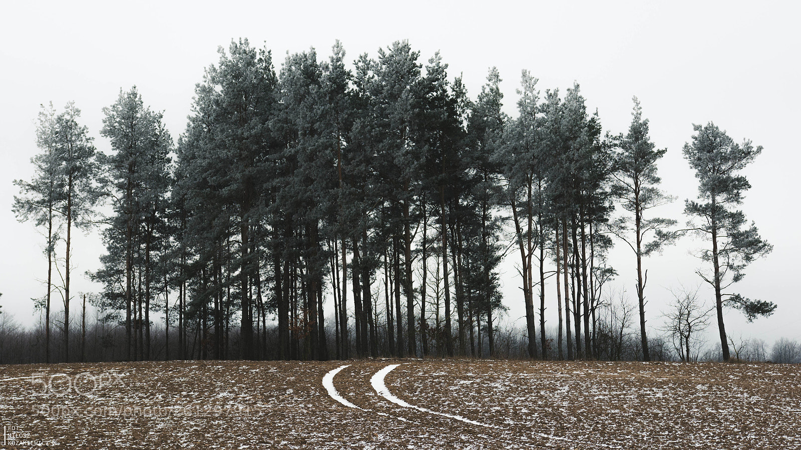 Nikon D7100 sample photo. Winter photography