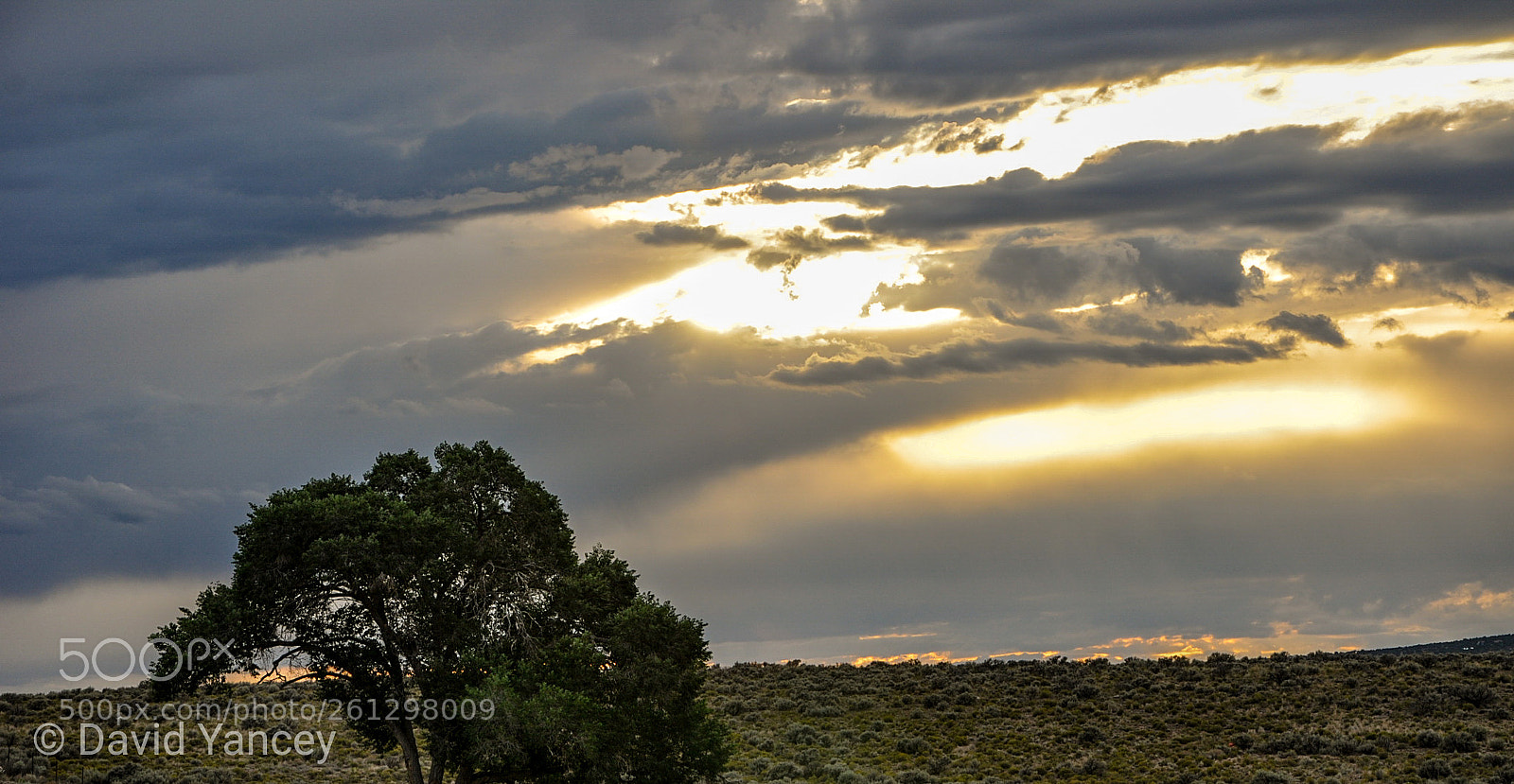Nikon D90 sample photo. Lonesome sunset photography