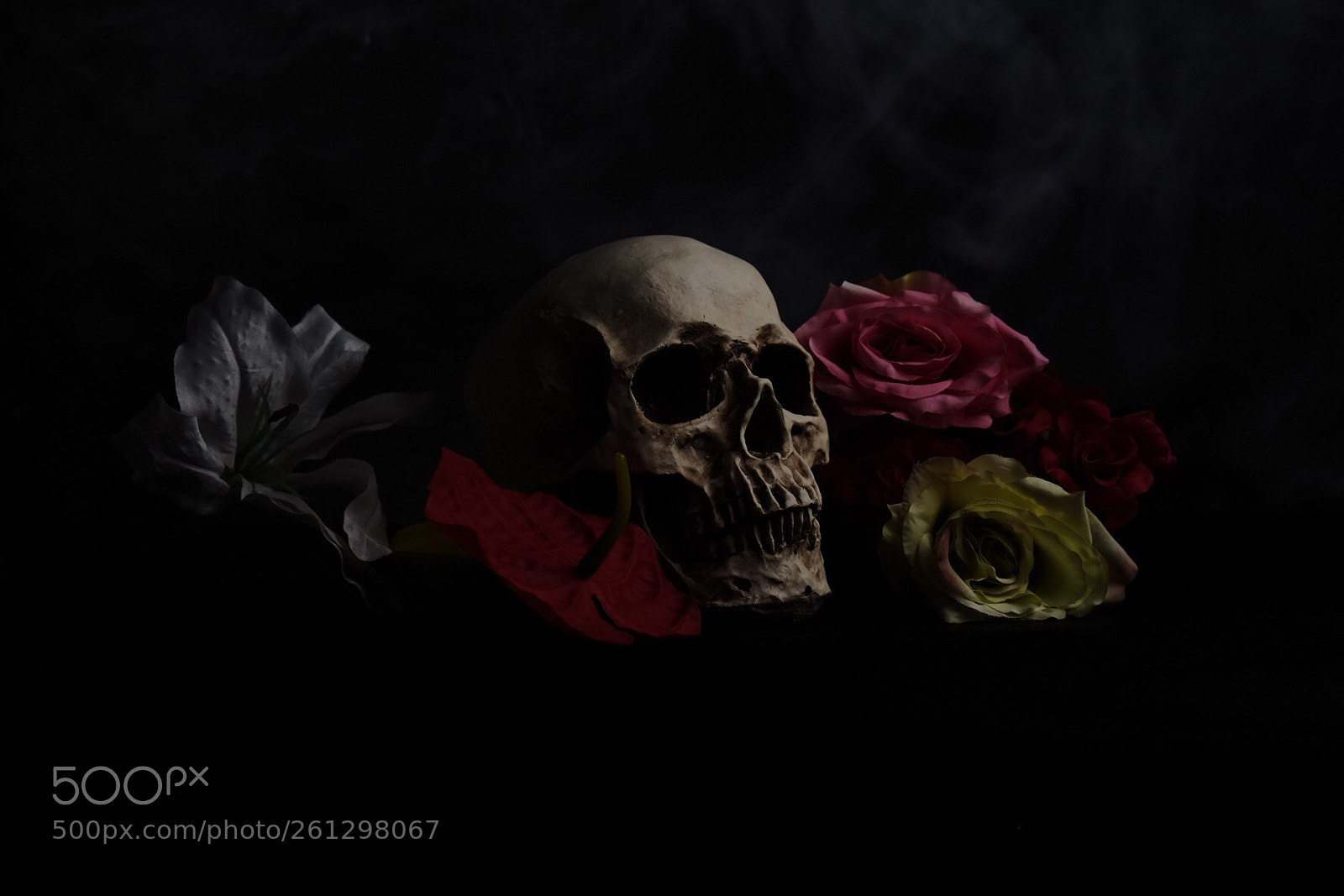 Fujifilm X-T1 sample photo. Skull in dark photography