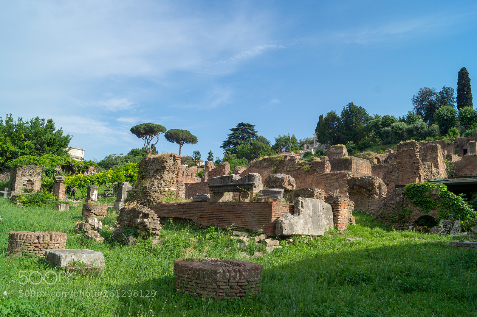 Sony SLT-A58 sample photo. Rome, forum and palatine photography