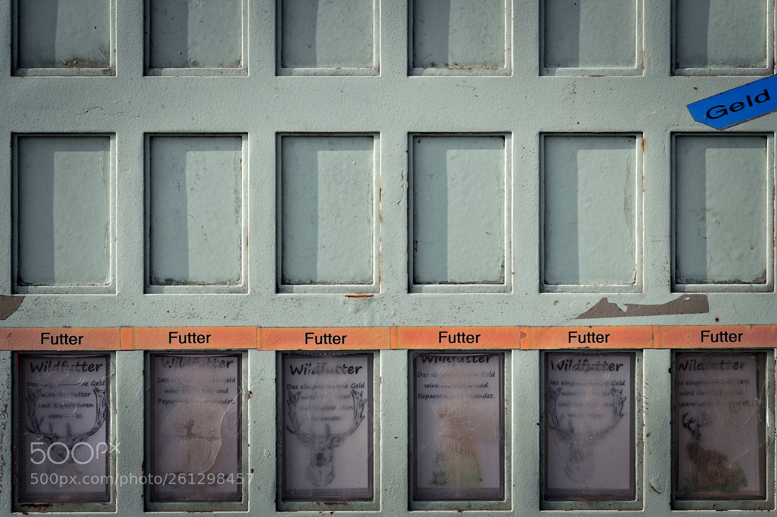 Canon EOS 60D + Canon EF 50mm F1.8 II sample photo. Futter, geld! photography